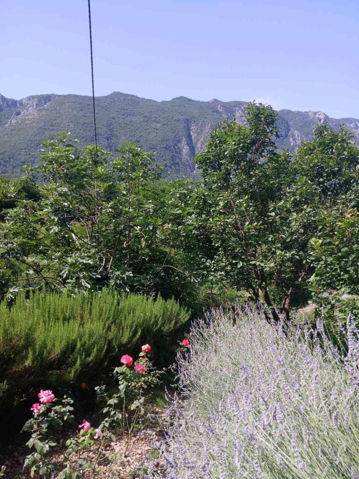 Etno House Mira Villa Virpazar Rom bilde