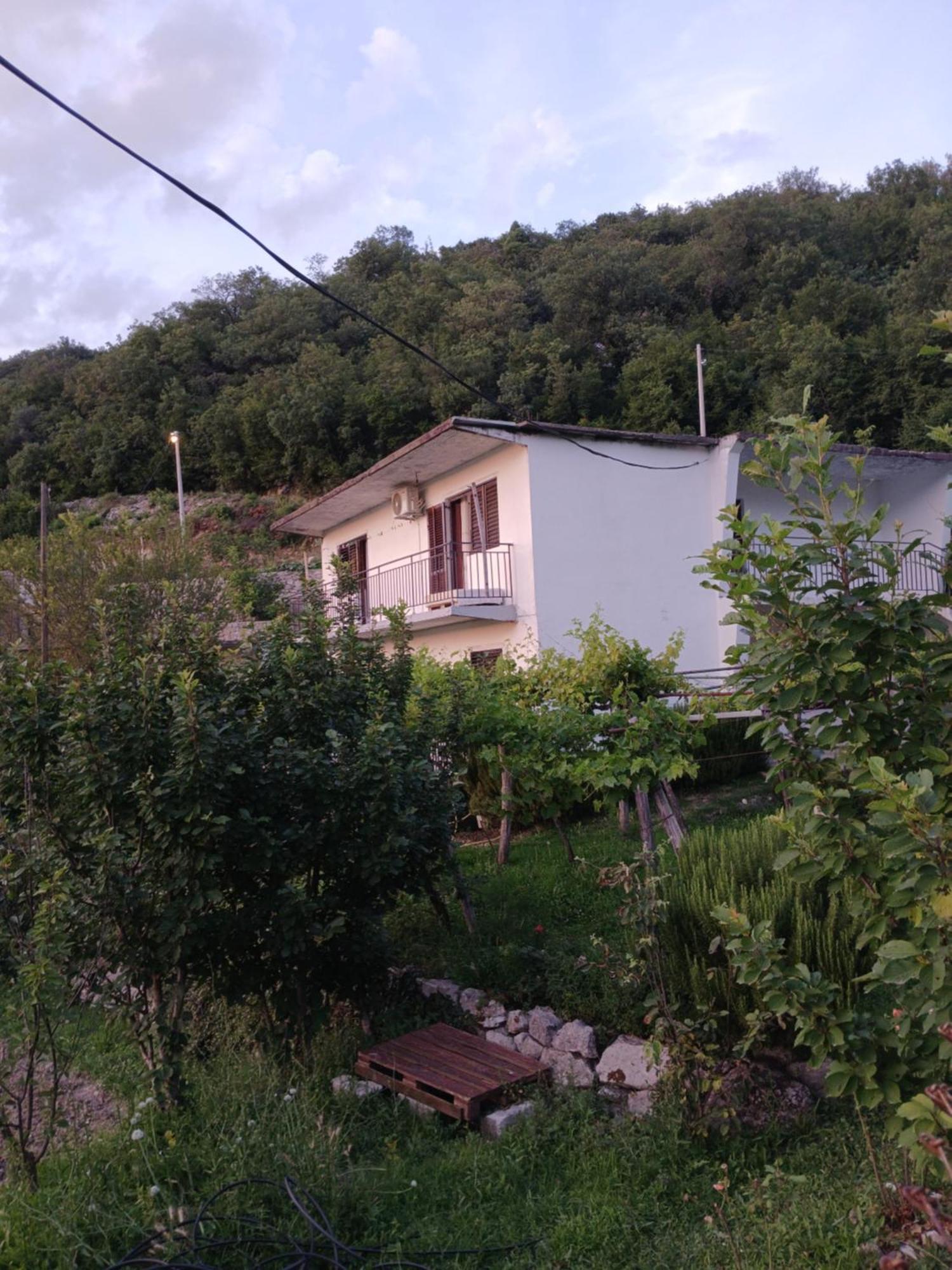 Etno House Mira Villa Virpazar Eksteriør bilde