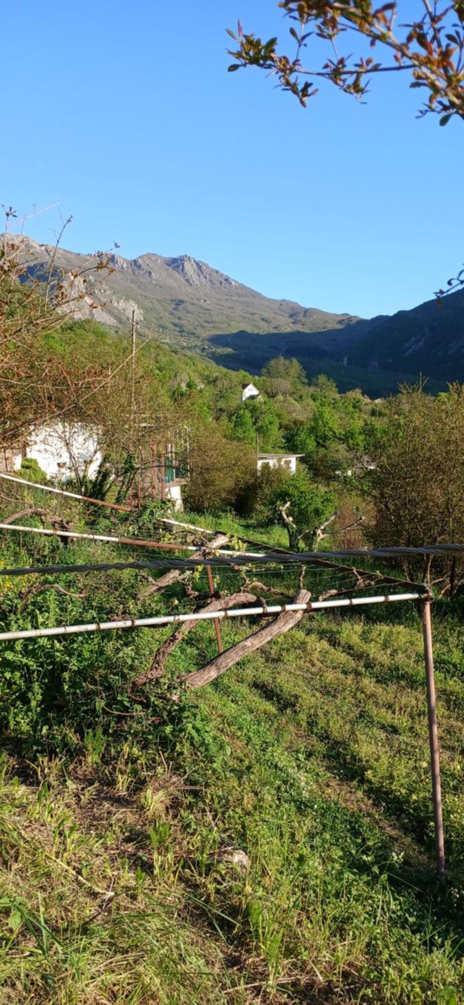 Etno House Mira Villa Virpazar Eksteriør bilde