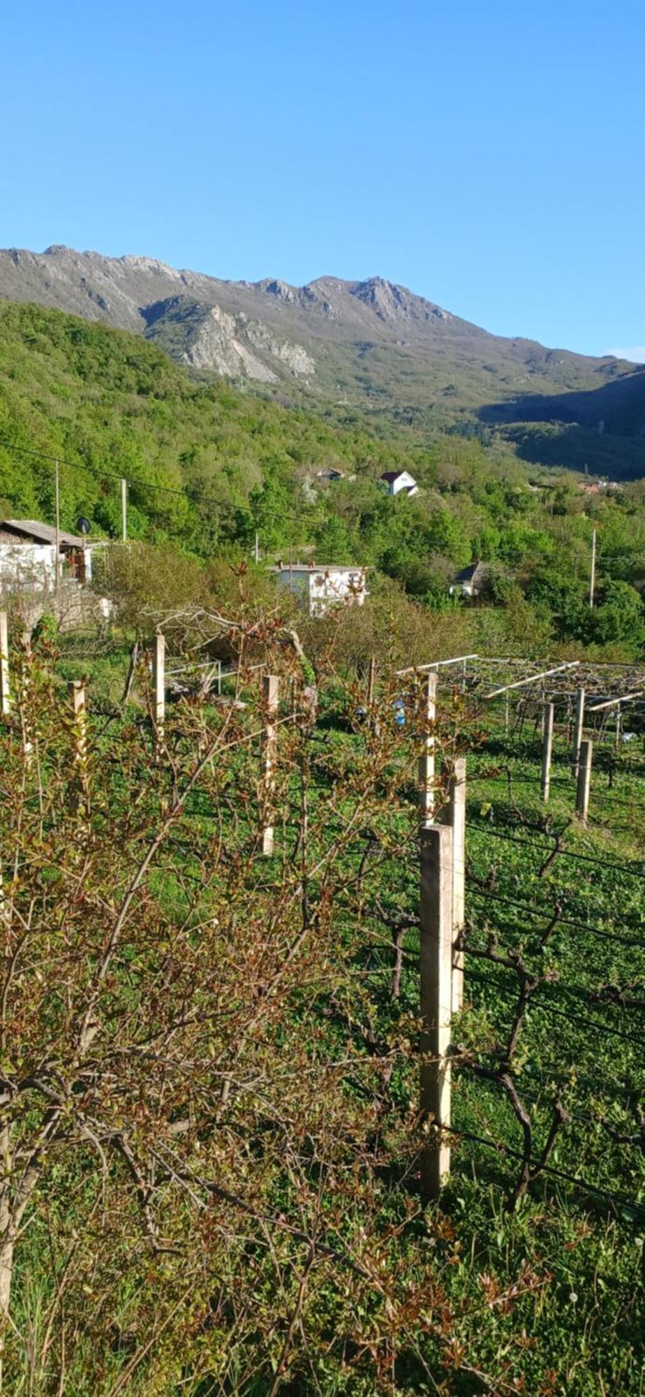 Etno House Mira Villa Virpazar Eksteriør bilde