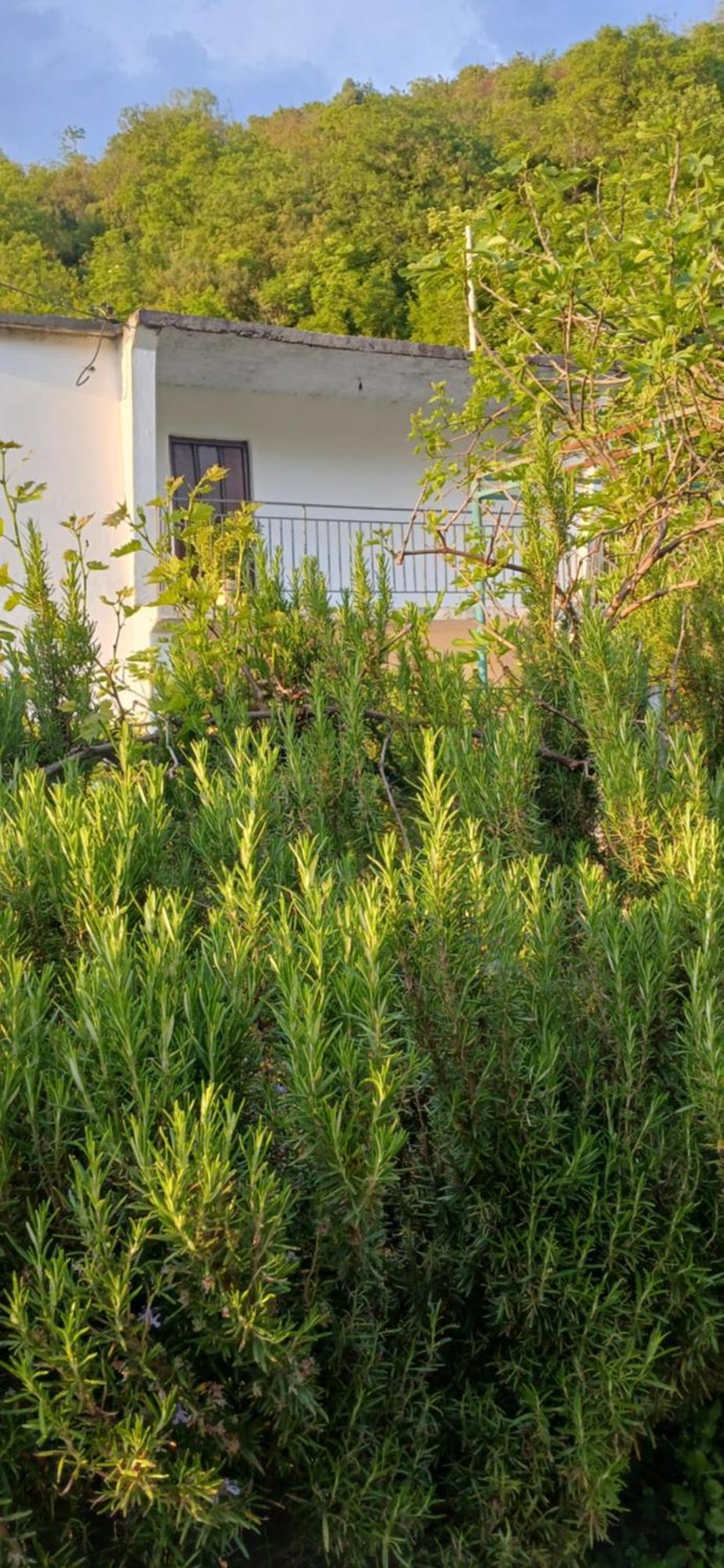 Etno House Mira Villa Virpazar Rom bilde